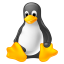 Version for Linux